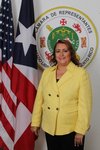 Foto de  Hon. María de Lourdes Ramos Rivera