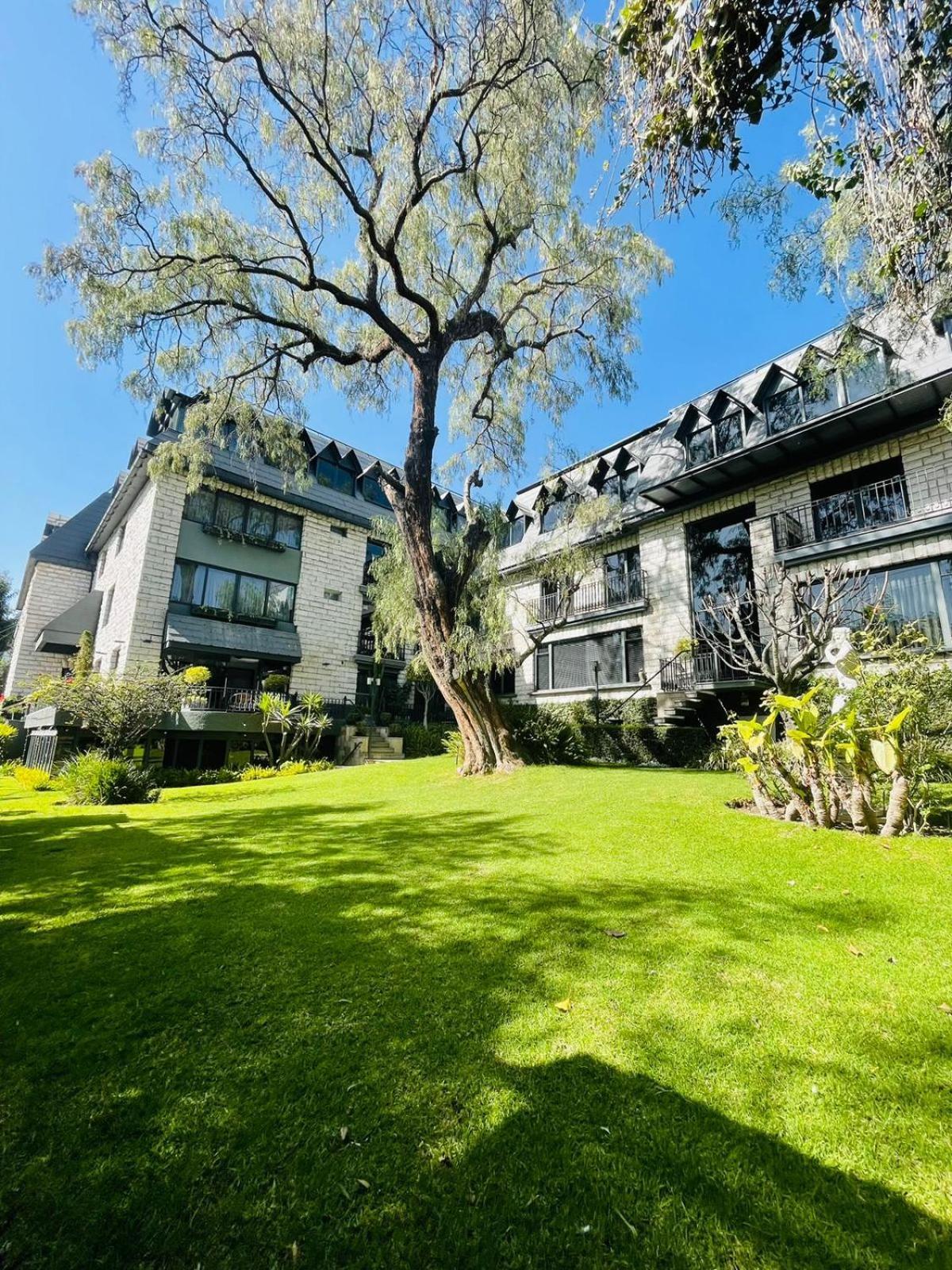 2 Business Hotels Near Cayma Church That Deliver on Work Needs